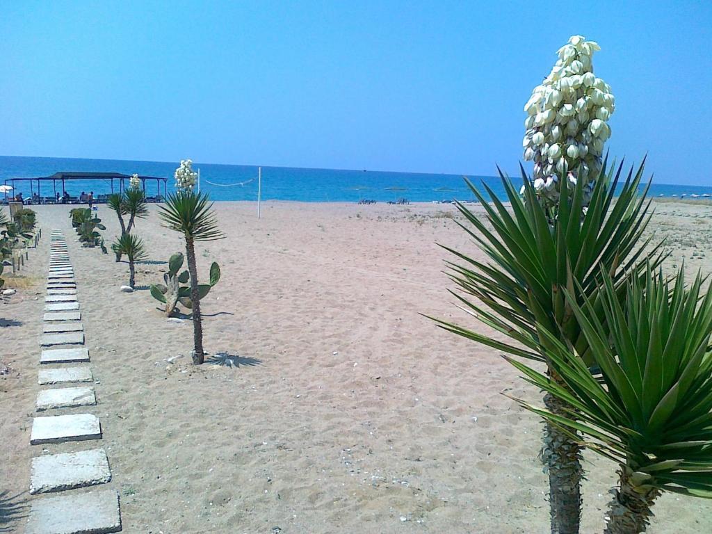 As Queen Beach Hotel Kızılot Exterior foto